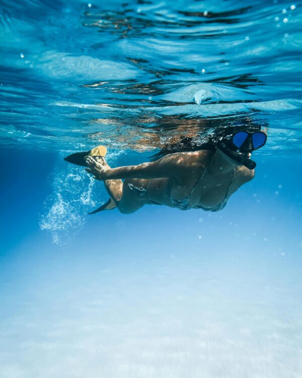 Discover Akumal: The Mayan Underworld & Swim with Sea Turtles - Image 3